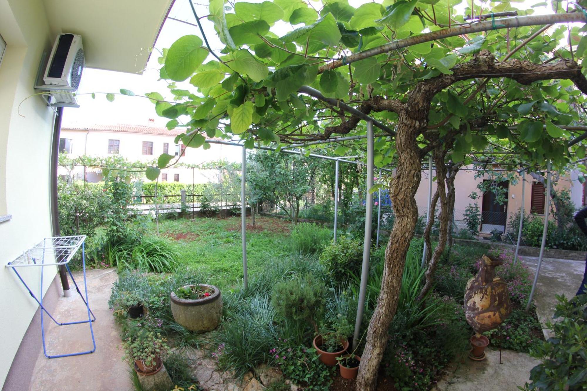 Apartments Neno Umag Room photo