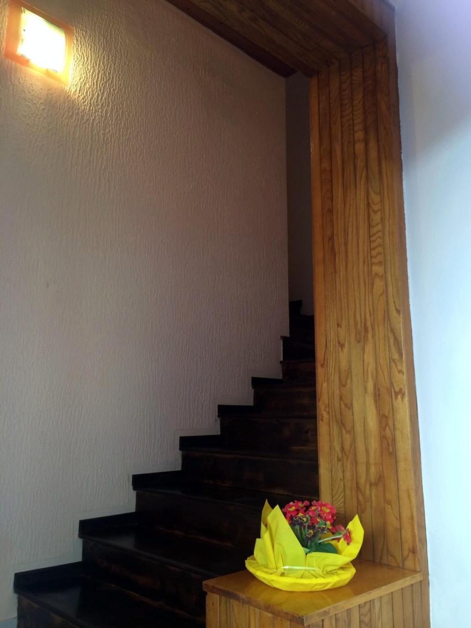Apartments Neno Umag Exterior photo